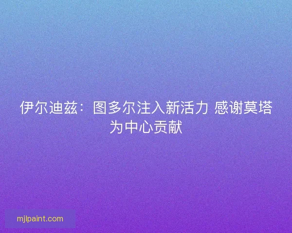 伊尔迪兹：图多尔注入新活力 感谢莫塔为中心贡献